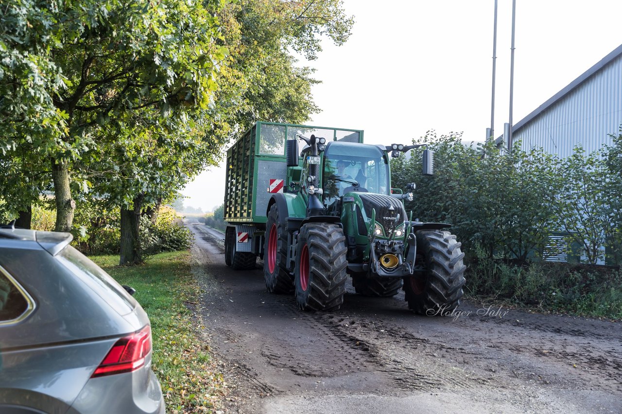 Bild 105 - Maisernte